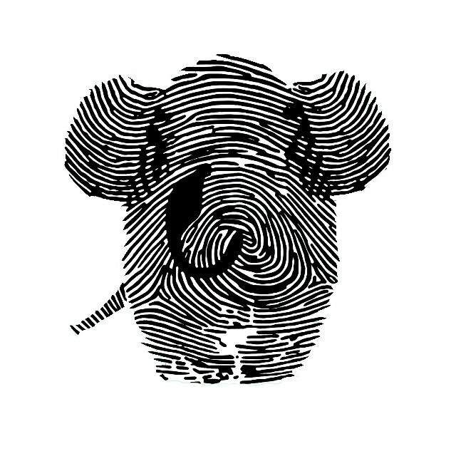 Wild Elephant Valley