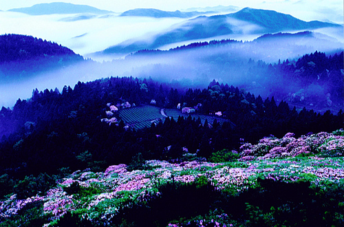Tiantai Mount Scenic Area 16