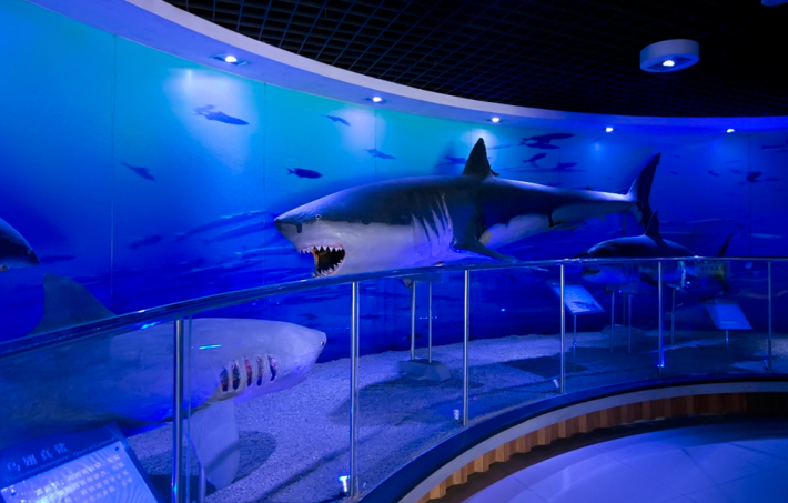 Qingdao Aquarium