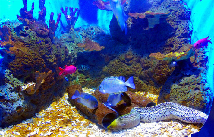 Quancheng ocean polar world
