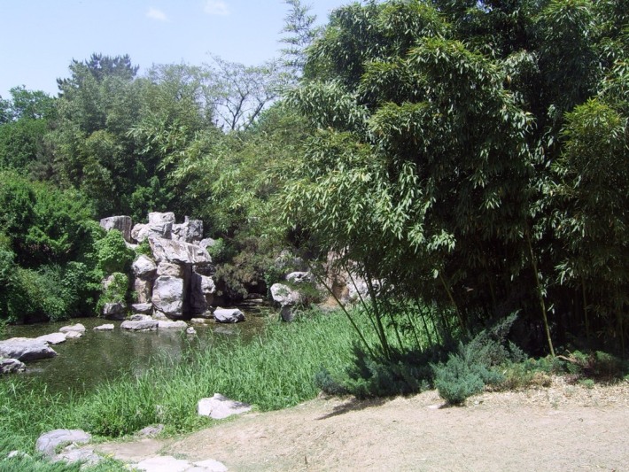 Purple Bamboo Park