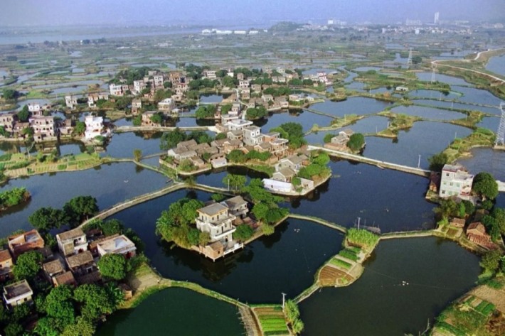 OCT Gulou
