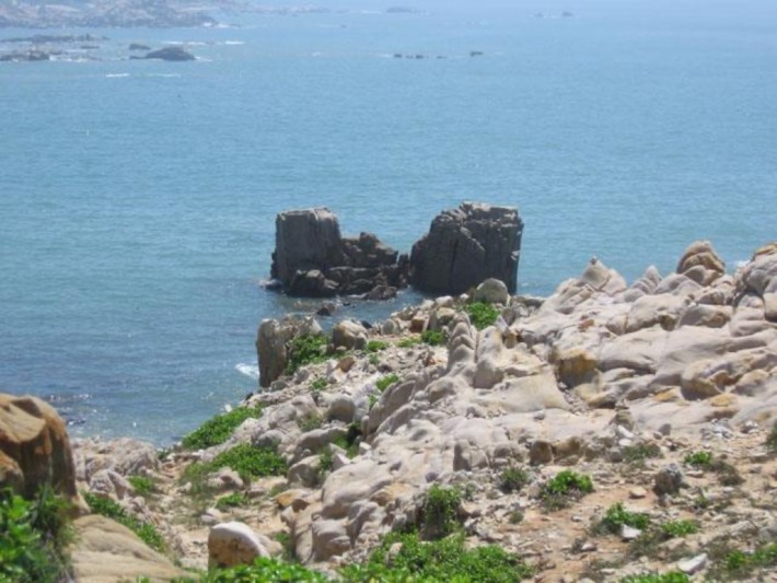 Cape sweet spring
