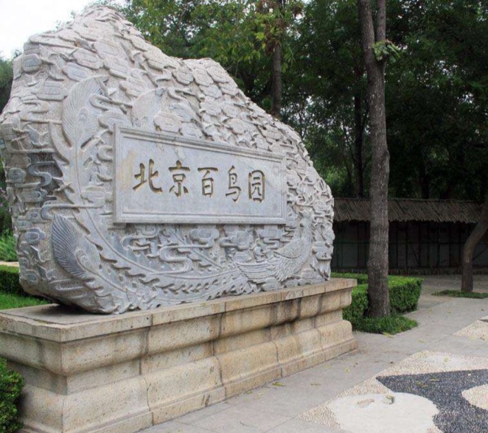 Aviary