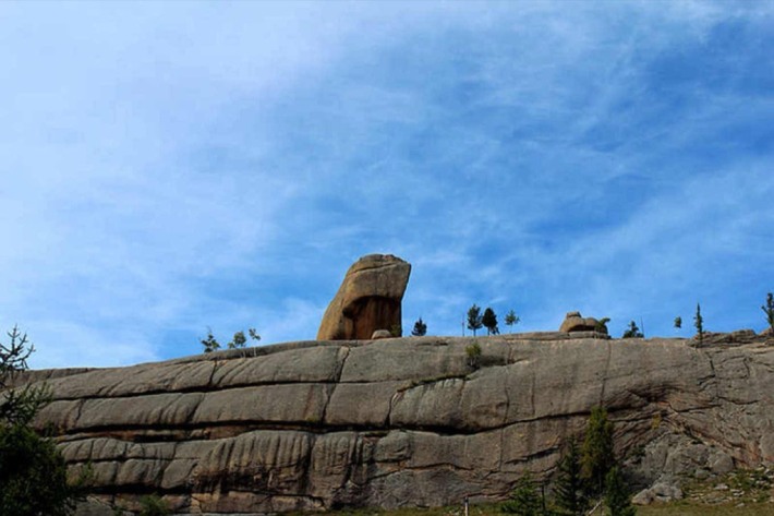frog stone
