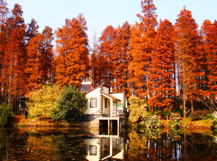 Gongqing Forest Park
