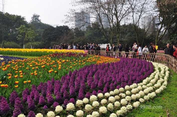 Chongqing flower garden