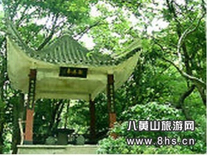 Waterfall Pavilion