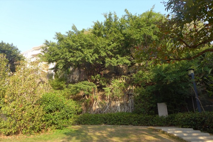Kuixing Mountain Cliff Carvings Group