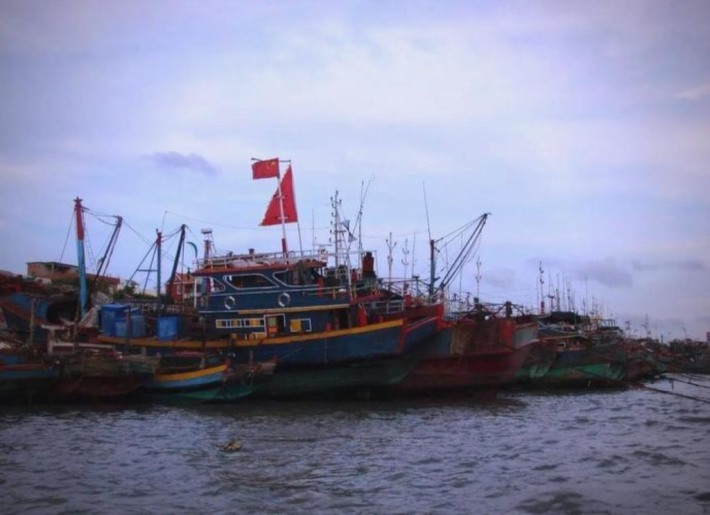 Xunpu Fisherman's Wharf