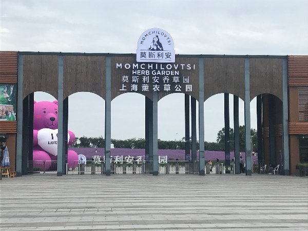 Shanghai Lavender Park
