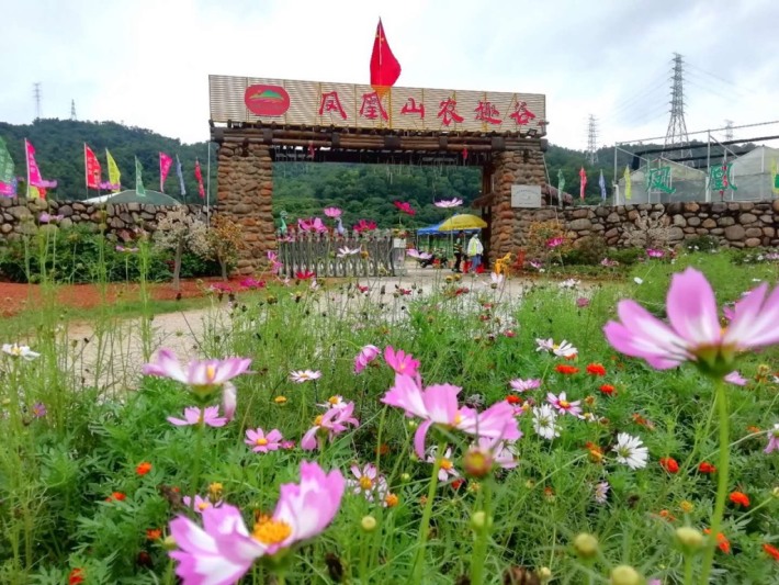 Fenghuangshan Agricultural Park