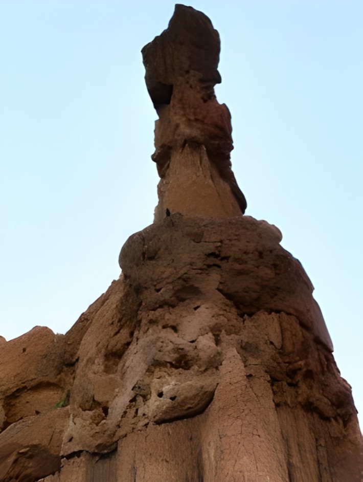 Nanjian Earth Forest