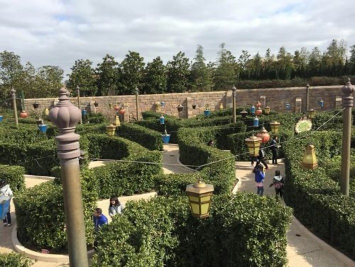 Alice in Wonderland Maze