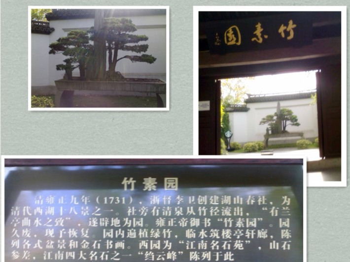 Zhusu garden