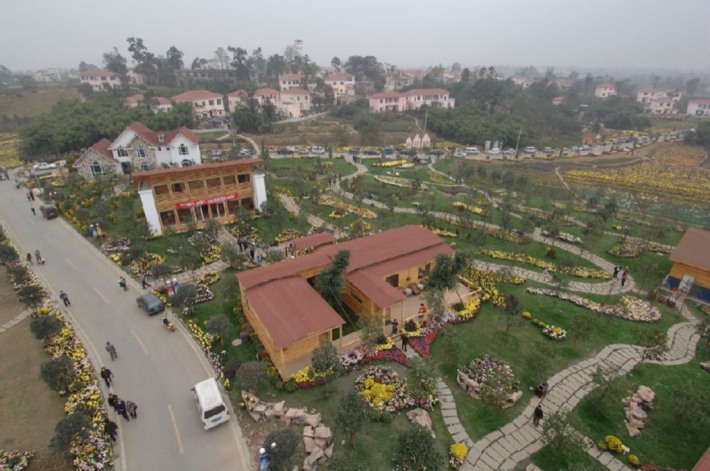 Dongli Chrysanthemum Garden