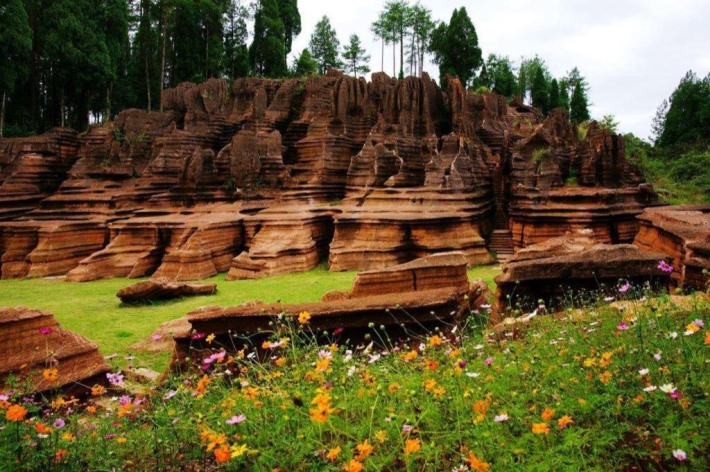 Red Stone Forest National Geopark