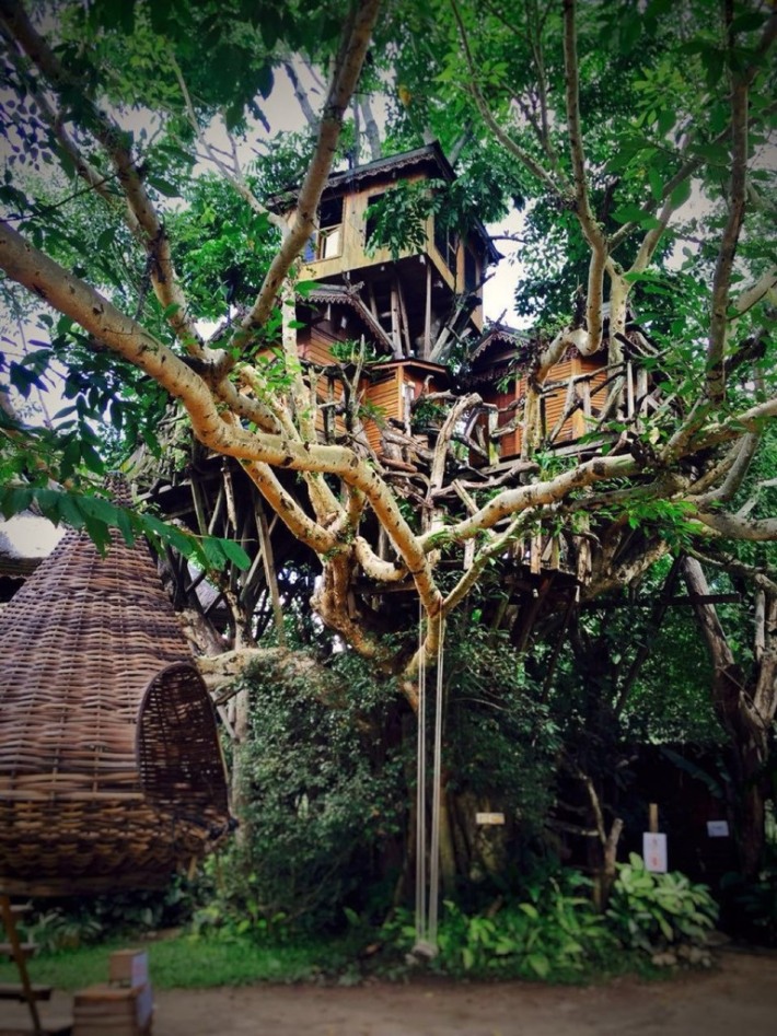 Treehouse