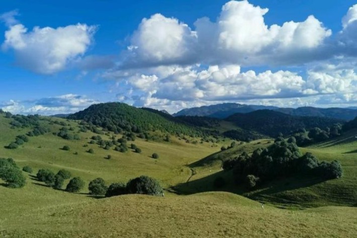 Yangliu Village Meadow 1