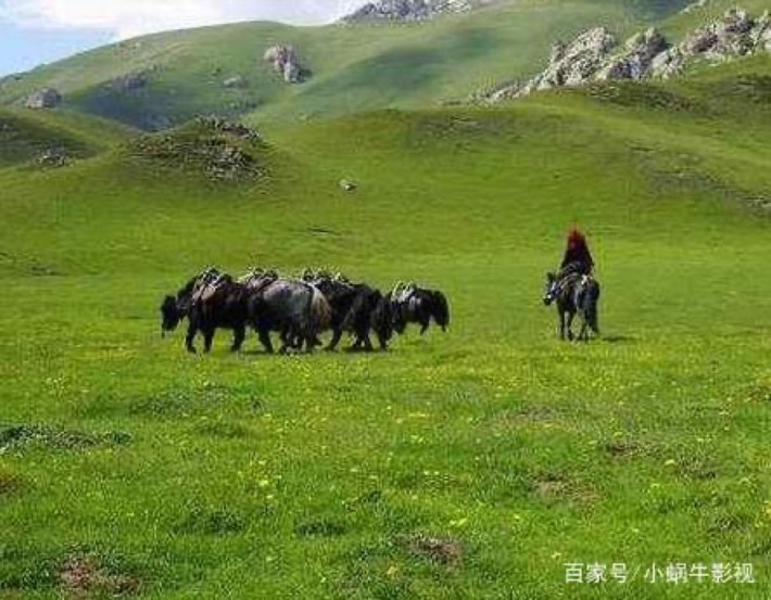 Dangzhou Grassland