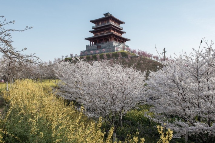 Zhengzhou Garden