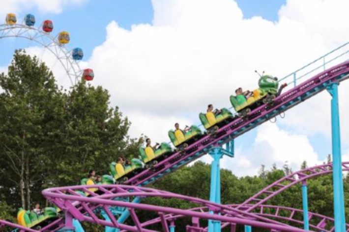 family roller coaster