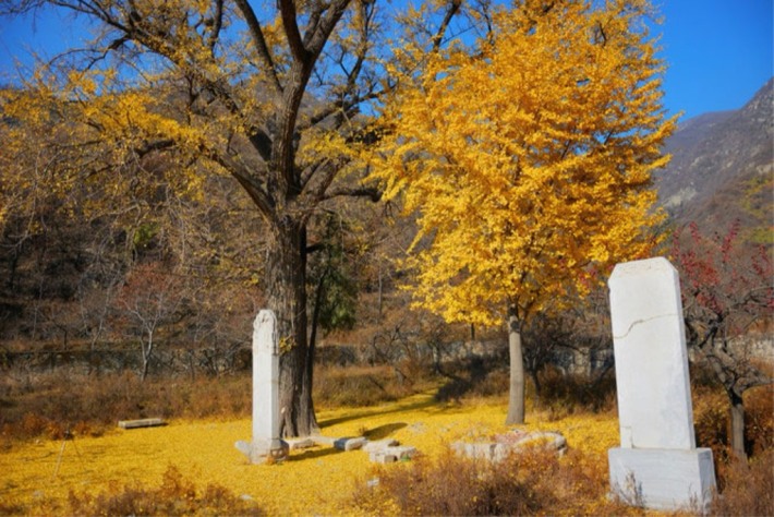 Jinzushan Scenic Area