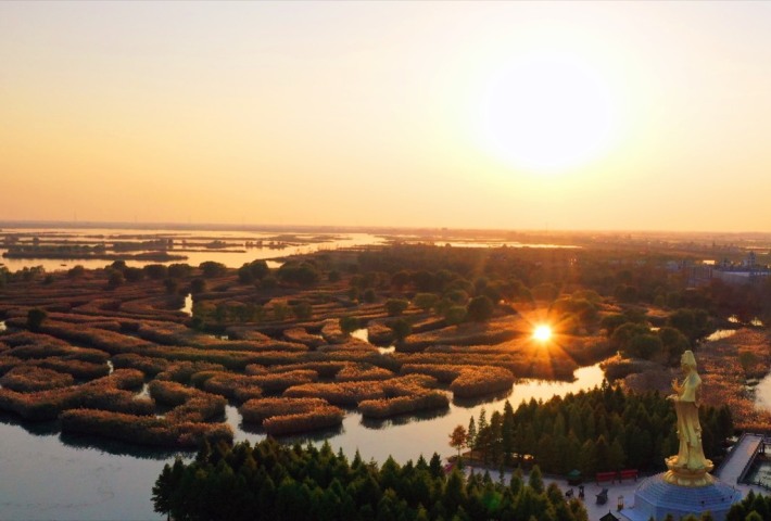 Reeds Labyrinth