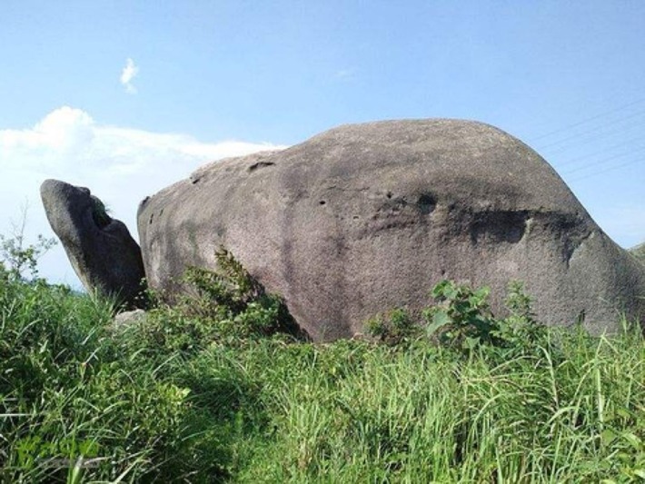 turtle stone