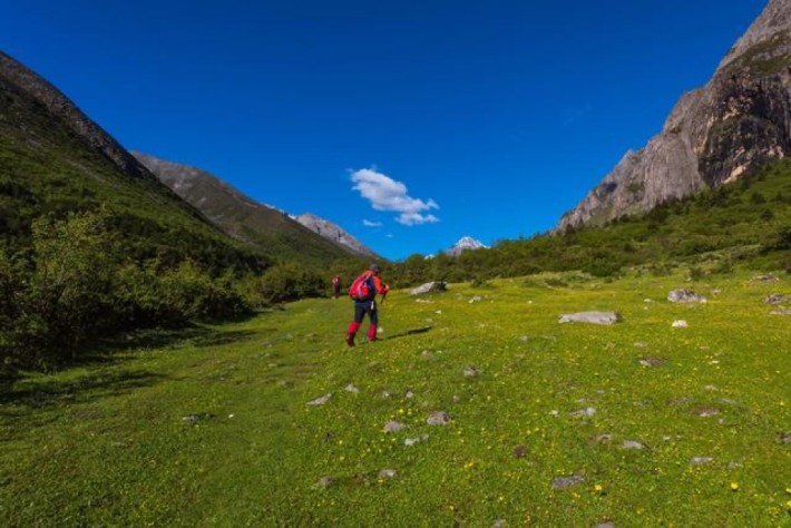 Geshe Grassland