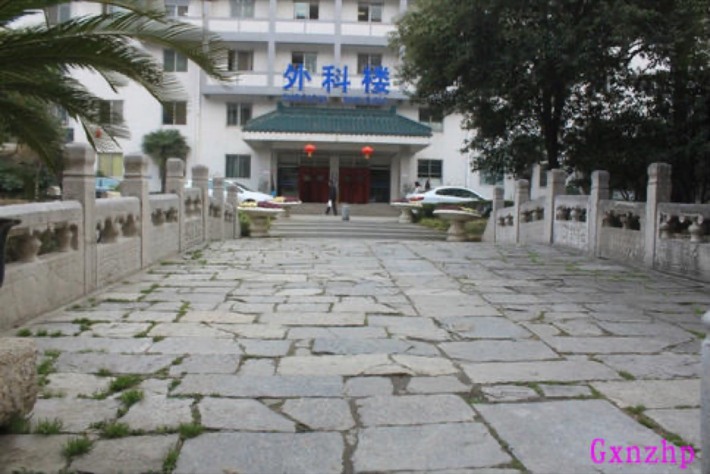Feihongqiao