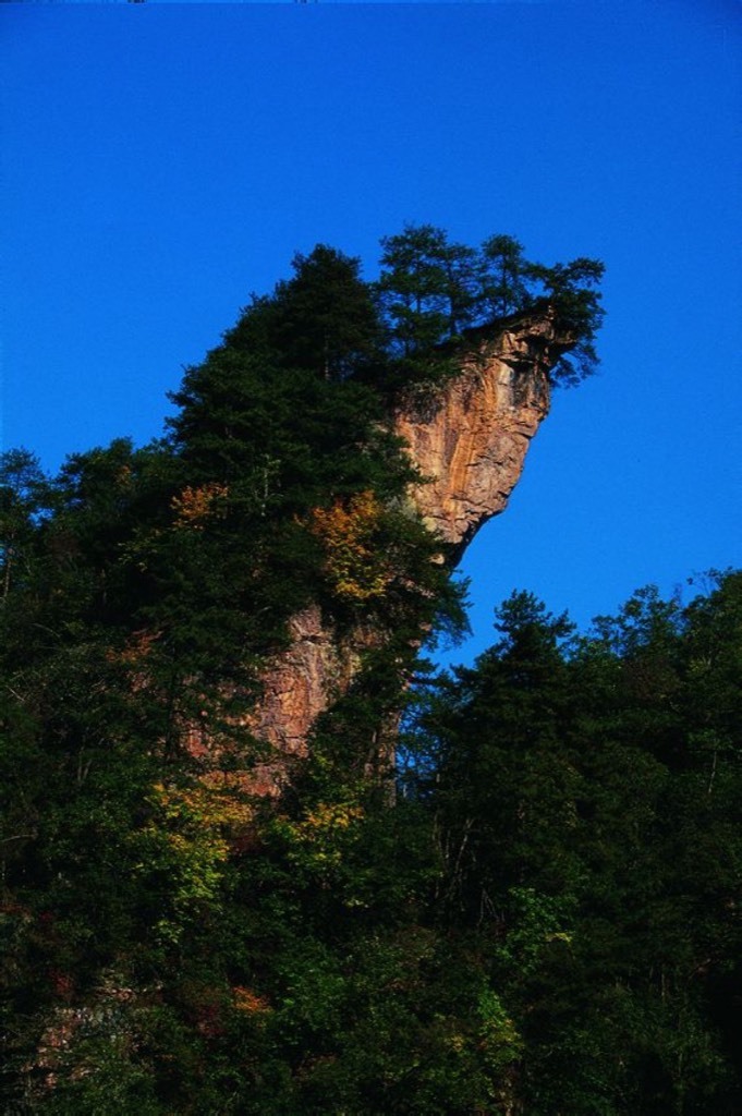 Yaozizhai