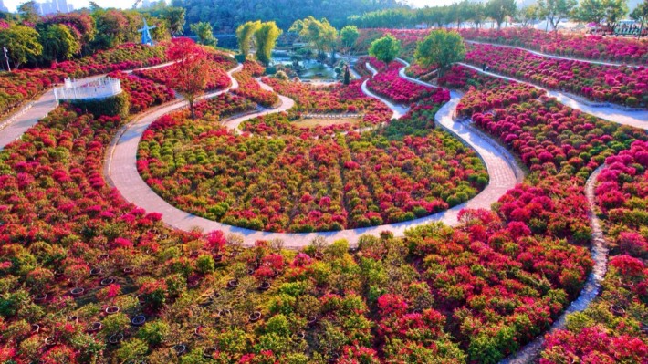 leaf garden