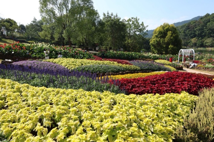 aquatic garden