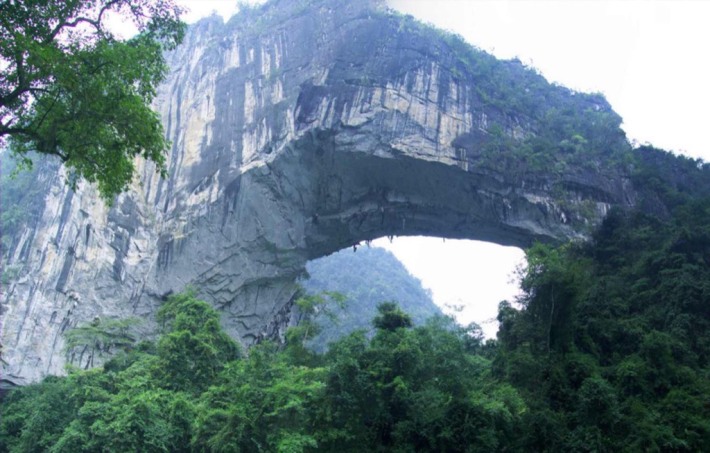 Immortal Bridge