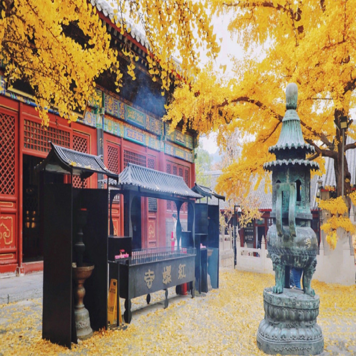 Hongluo Temple
