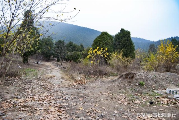Huanggu's Tomb