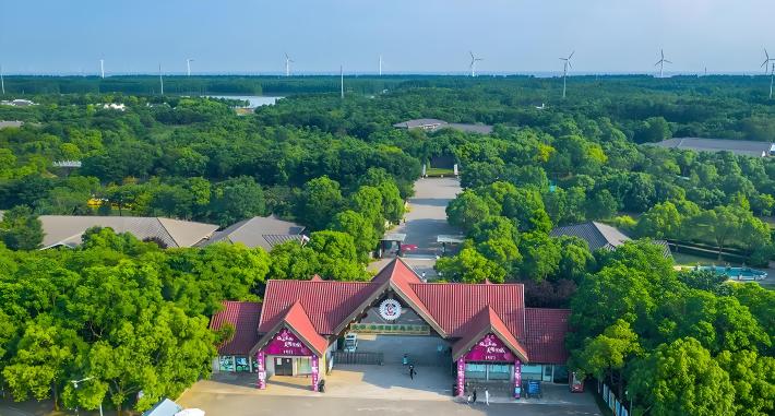 Shanghai Gulf National Forest Park