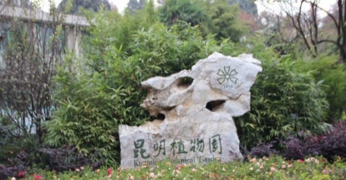 Kunming Botanical Garden
