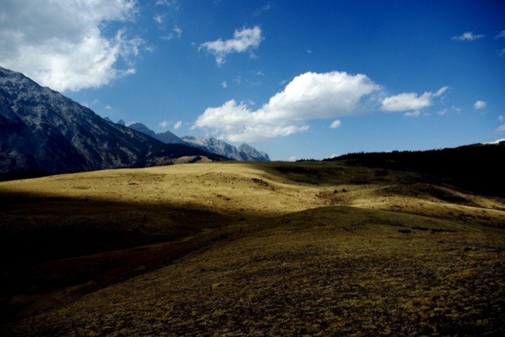 Yak Meadow
