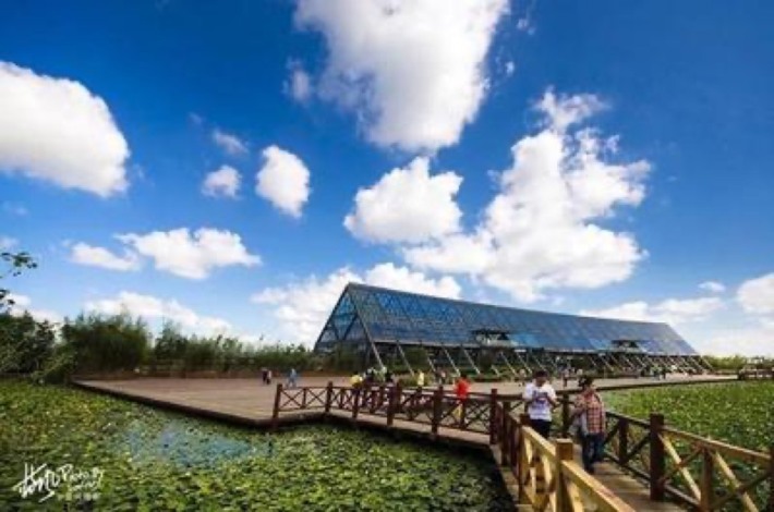 Dongtan Wetland Park