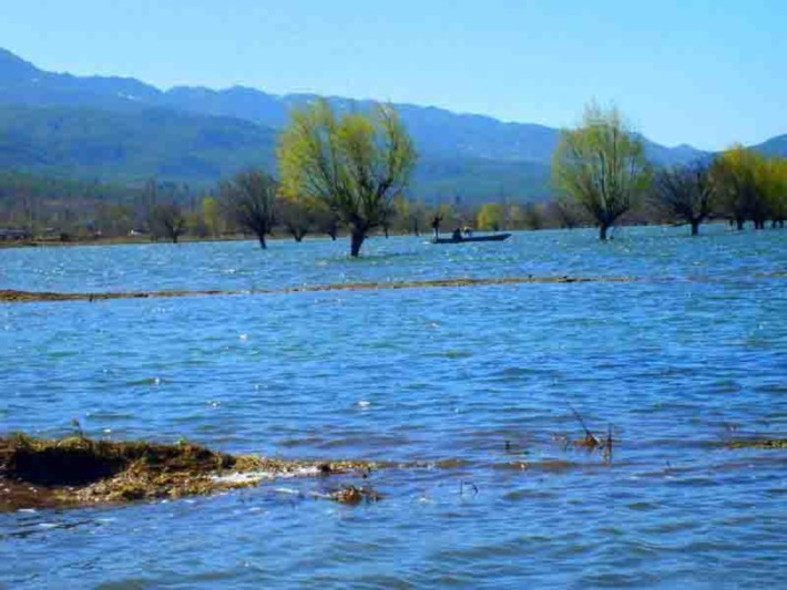 Lashi Lake Wetland Park