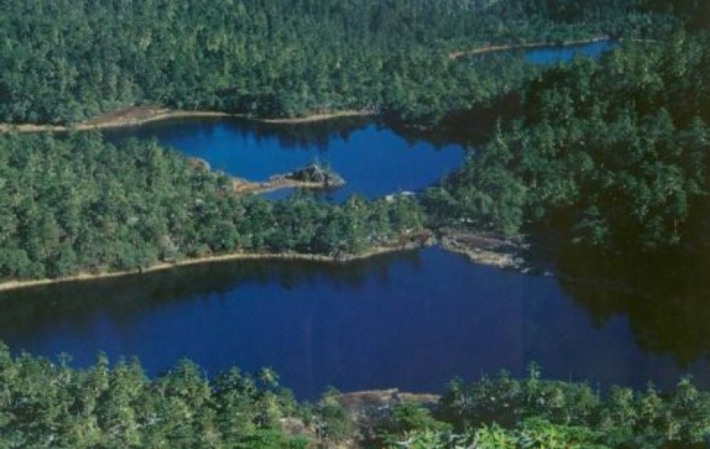 ninety-nine dragon pond