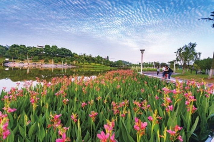 Dazu Begonia Lake Park