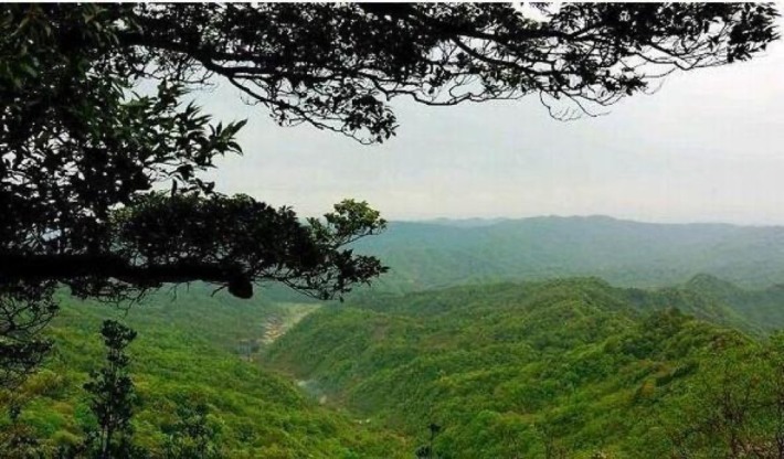 Shizhu Huangshui Dafengbao Tourism Area
