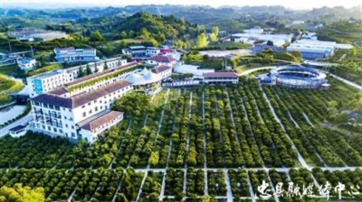 Zhongxian Three Gorges Orange Town Rural Complex