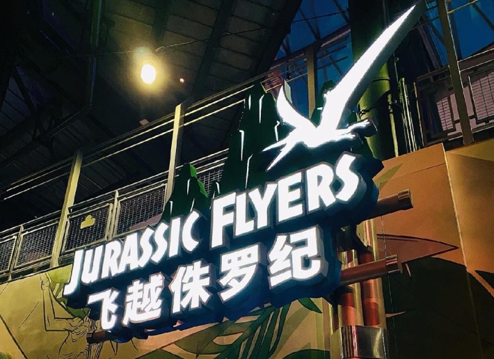 Jurassic Flyers