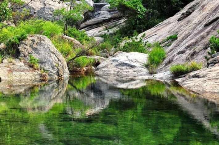 Kowloon Pond