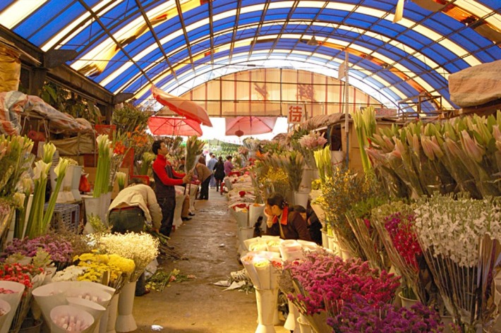 Dounan Flower Market