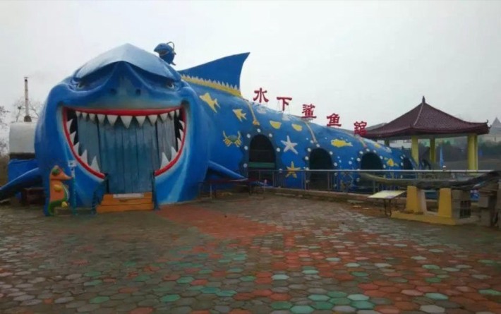 Shark House
